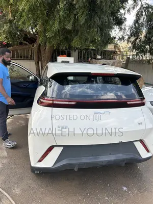 New BYD Seagull 2025 Off white