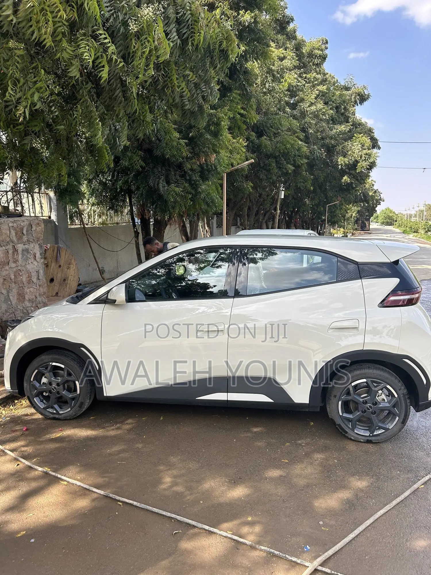 New BYD Seagull 2025 Off white