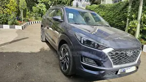 Hyundai Tucson SE AWD 2019 Gray