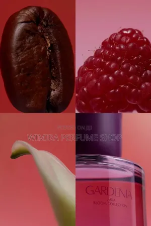 Zara Gardenia Bloom Collection