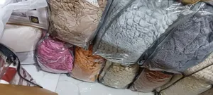 Alga,Brd LBS Ena Frash