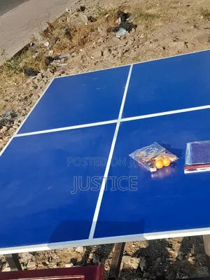 Table Tennis Table