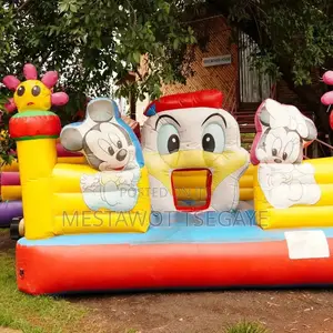 Inflatables Bouncing Castel
