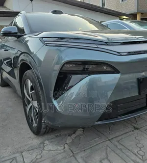 New BYD Tang EV 2025 Green