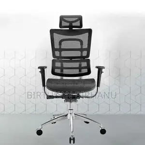 Ergonomic Managerial Chair(Metal Hand)