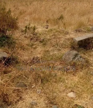 150.5ካሬ ፈራሽ ቤት ኣመቺ ቦታ ዲጂታል ካርታ ያለው ነባር ቤት ኤል ላይ ኣፍርሶ ለመስራት ኣመቺ ቦታ ላይ