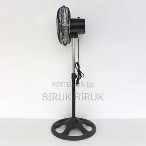 Standing Fan