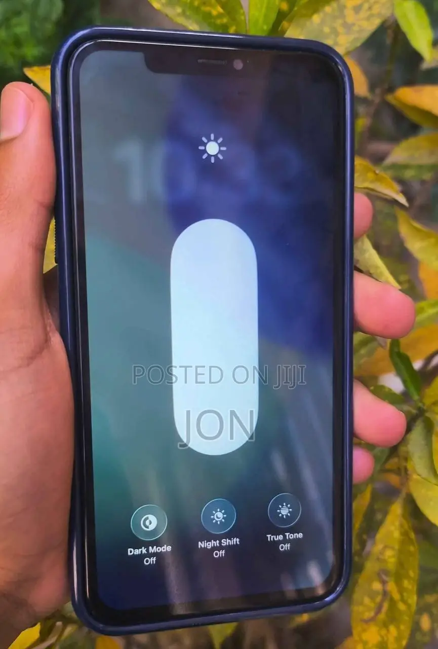 Apple iPhone 11 Pro Max 256 GB Gray