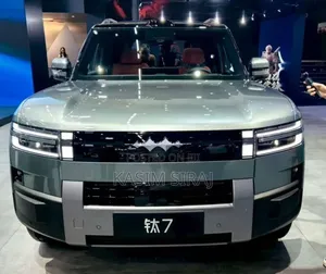 Photo - New BYD Leopard 7 2025 Blue