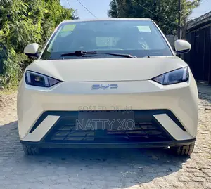 Photo - New BYD Seagull 2025 Beige