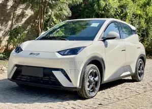 New BYD Seagull 2025 Beige