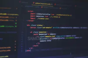 Website and Application Development Service