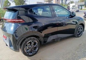 New BYD Seagull 2024 Black