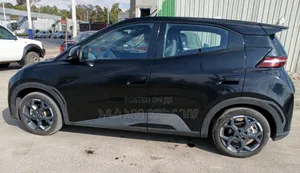 New BYD Seagull 2024 Black