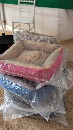 Beds for Your Dogs