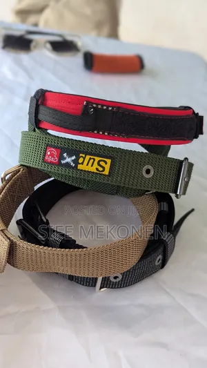 Ddifferent Kinds of Collars for Dogs