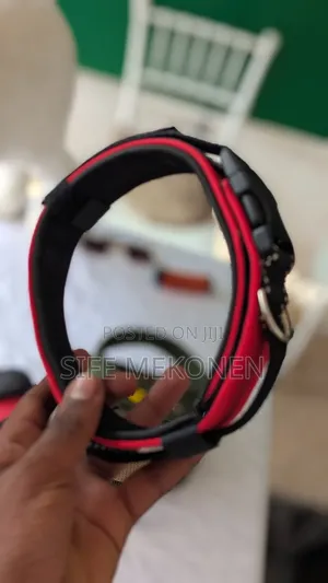 Ddifferent Kinds of Collars for Dogs