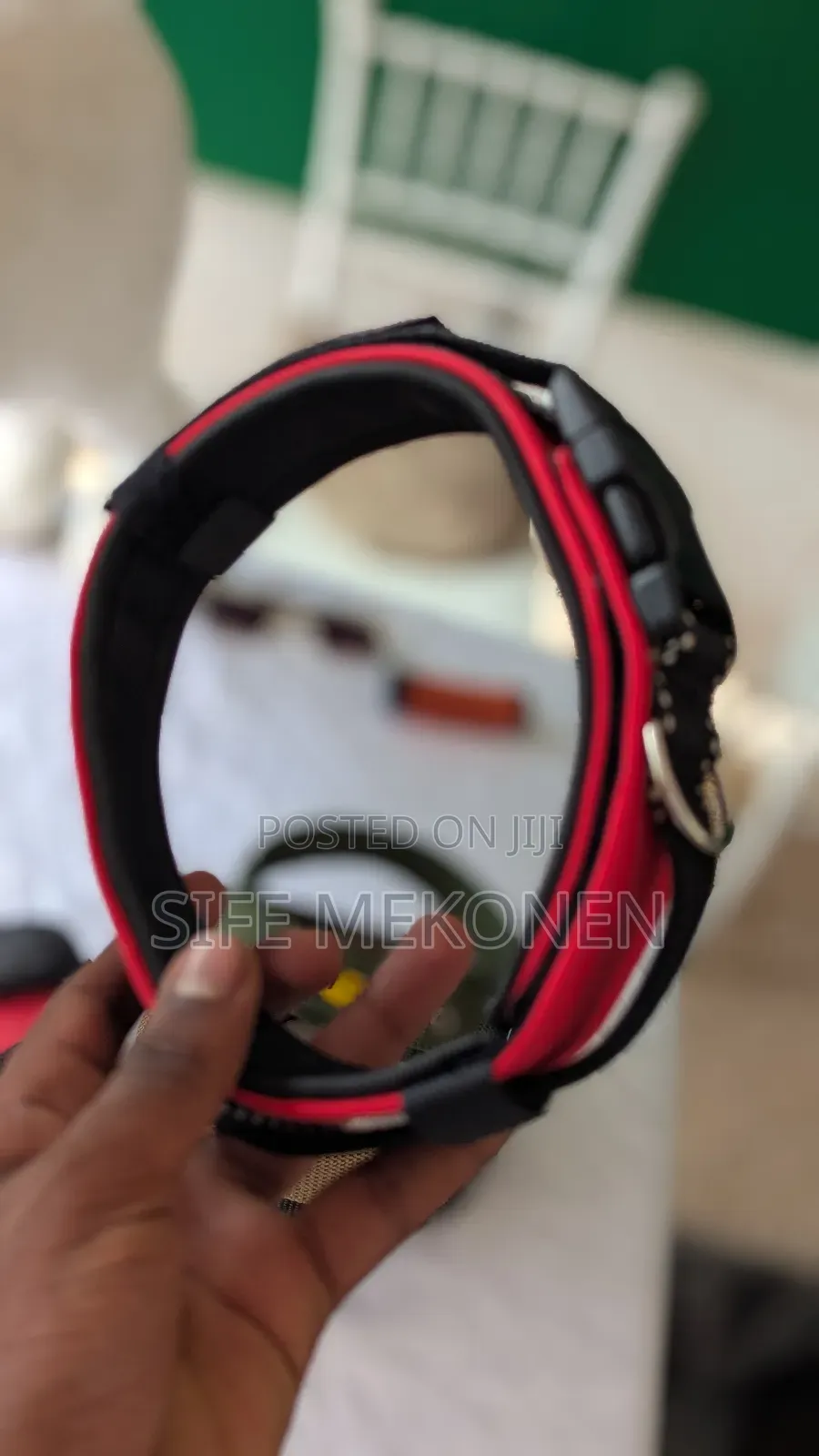 Ddifferent Kinds of Collars for Dogs