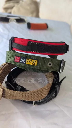 Ddifferent Kinds of Collars for Dogs