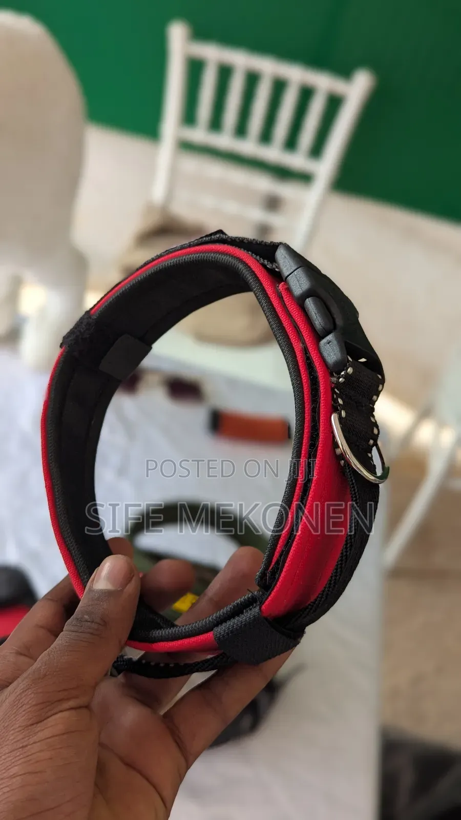 Ddifferent Kinds of Collars for Dogs