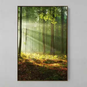 Forest Light