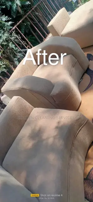Cleaner Service