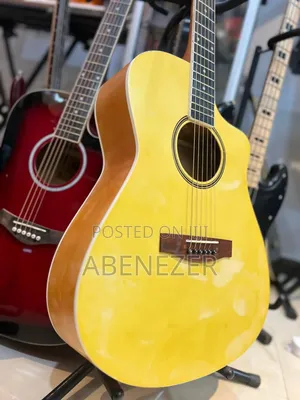 Photo - Wins Acostic Guitar