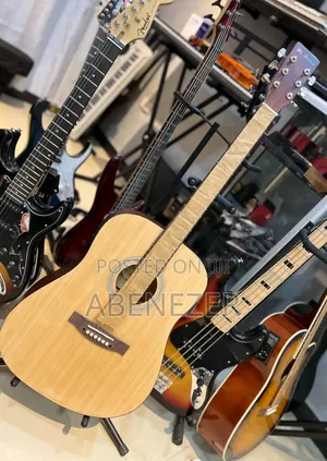 Photo - Fr. Antonio Acostic Guitar