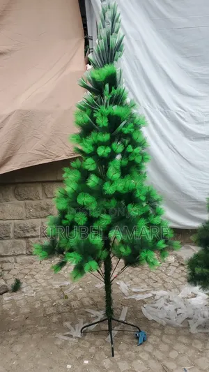 Christmas Trees Imported