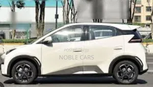 New BYD Seagull 2025 Off white