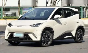 Photo - New BYD Seagull 2025 Off white