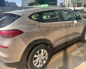 Hyundai Tucson 2019 Pink