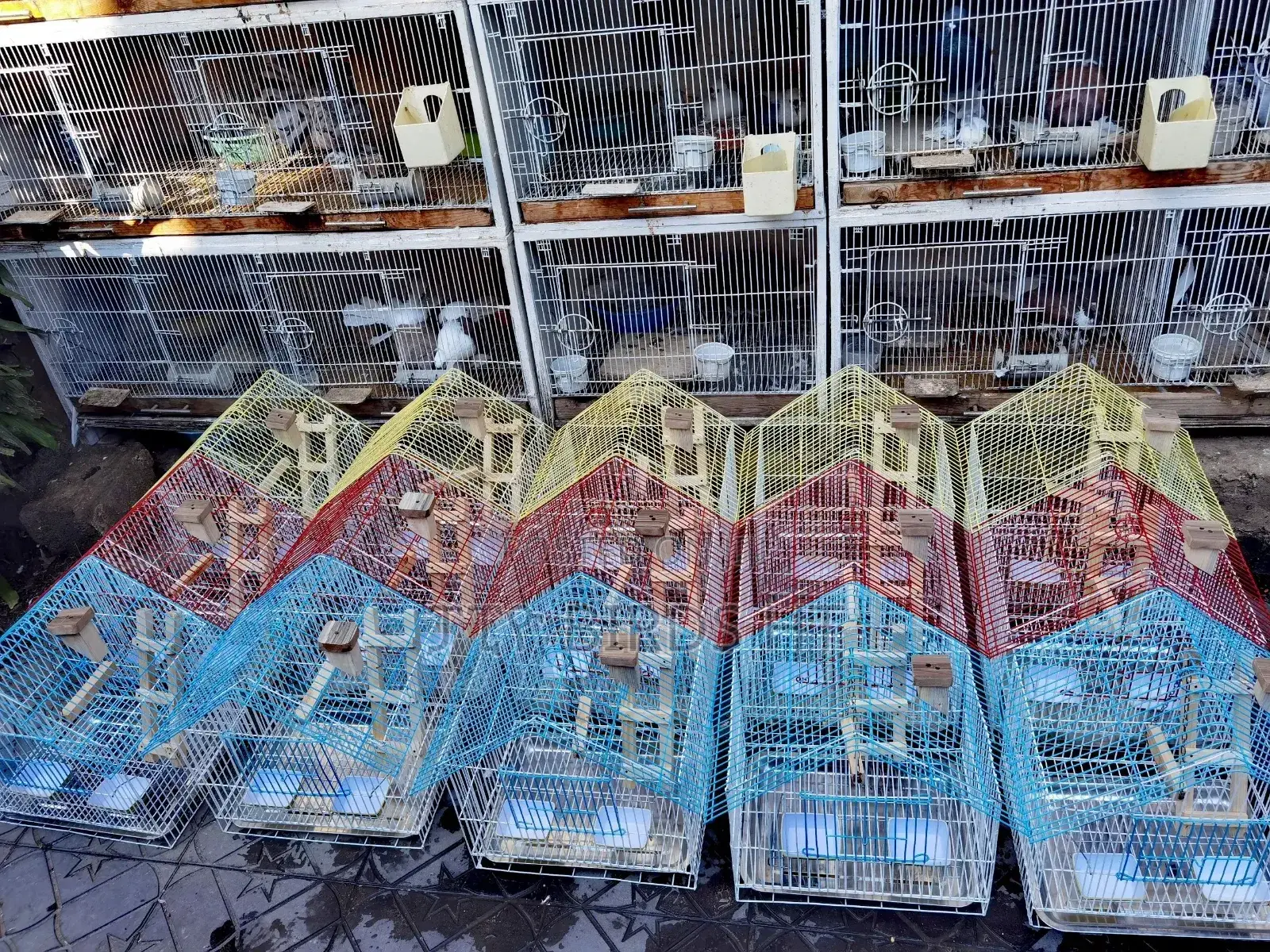 Beautiful Parrots Cage