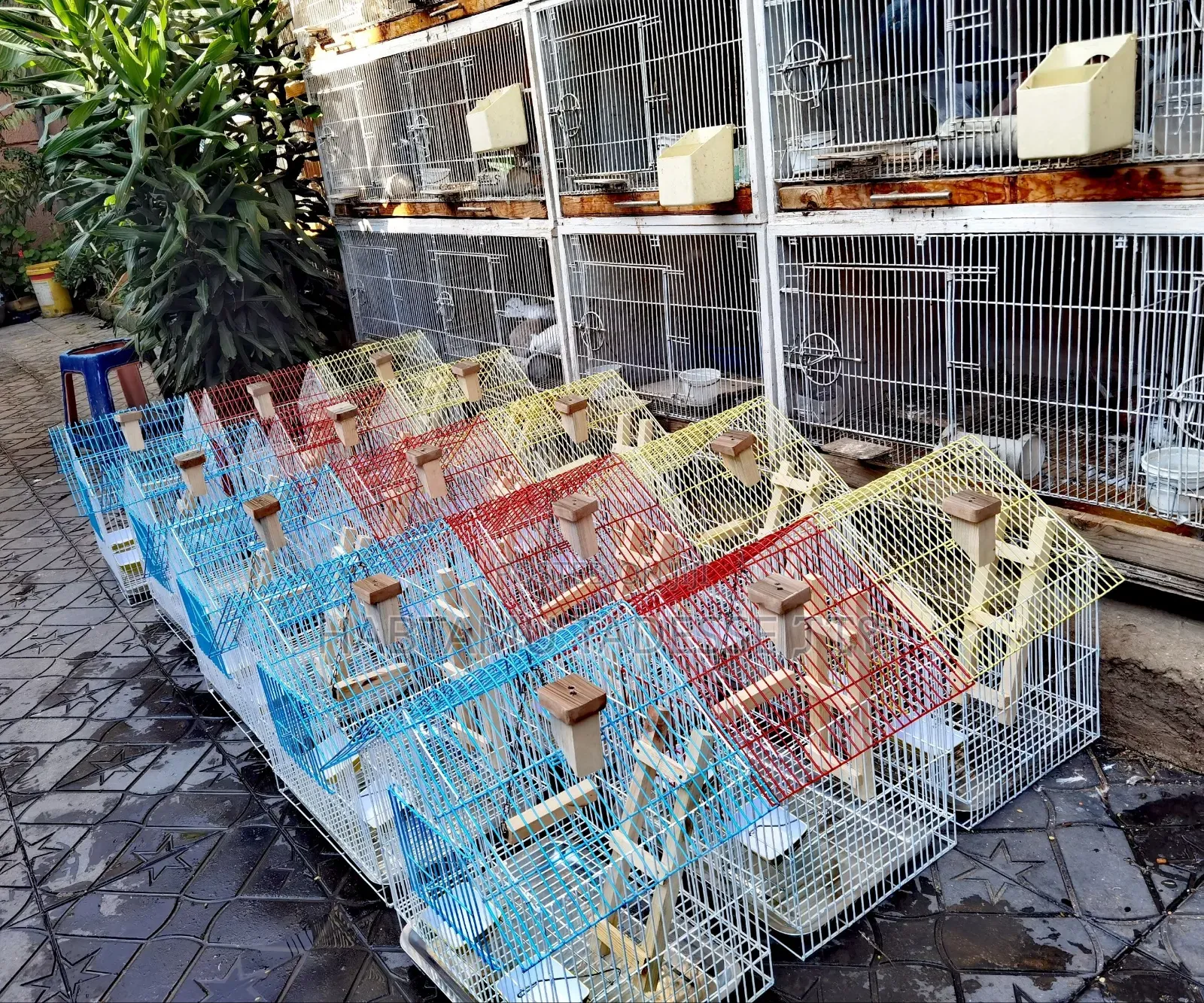 Beautiful Parrots Cage