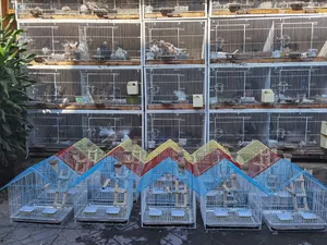 Beautiful Parrots Cage