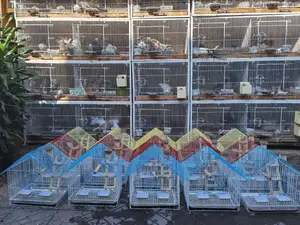 Beautiful Parrots Cage