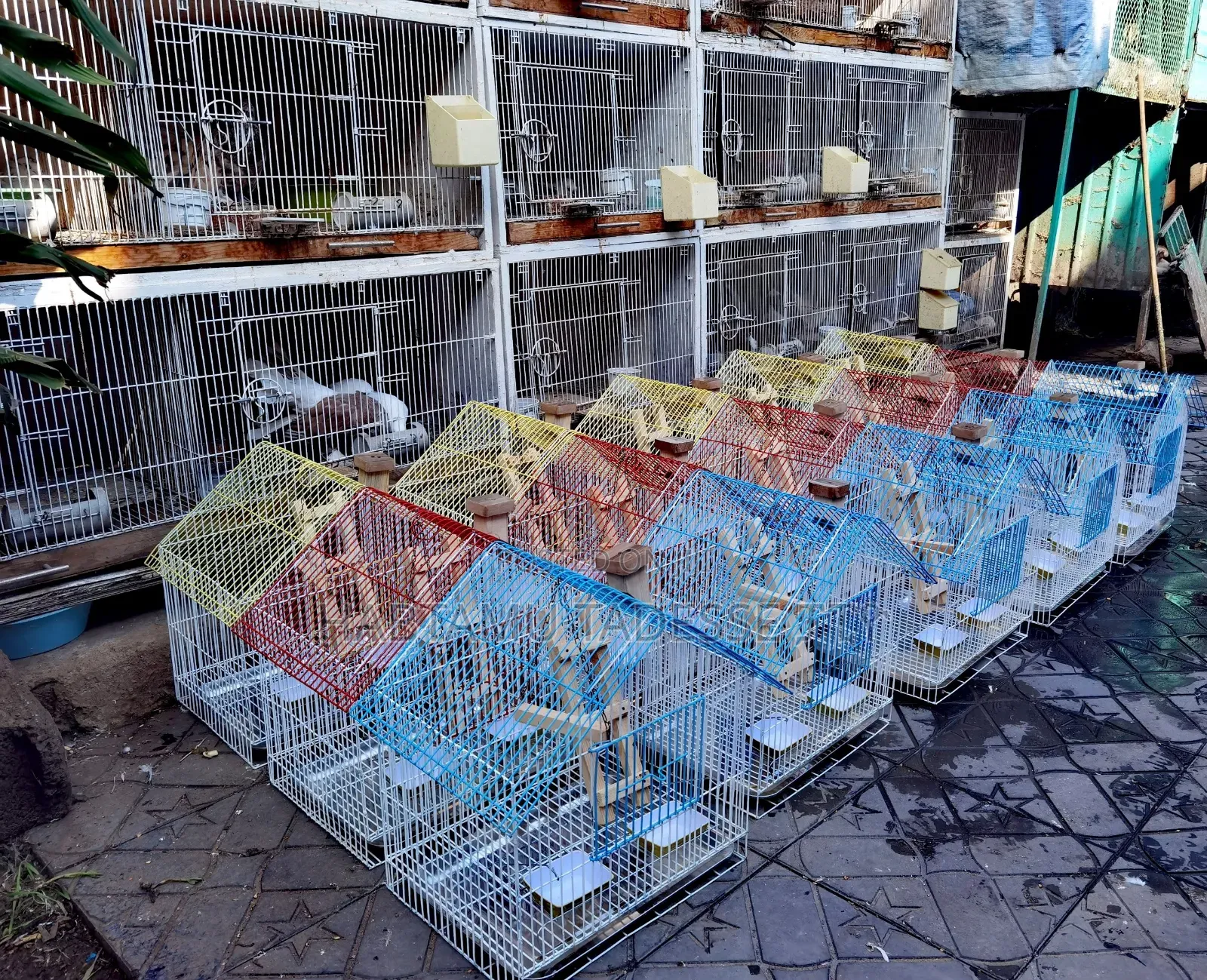 Beautiful Parrots Cage