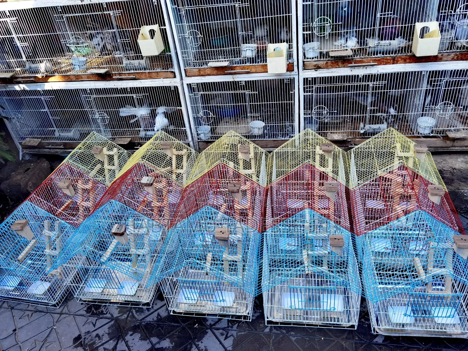 Beautiful Parrots Cage