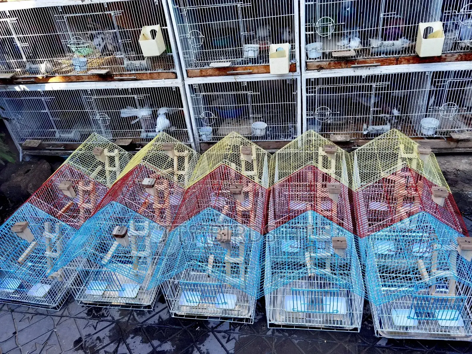 Beautiful Parrots Cage