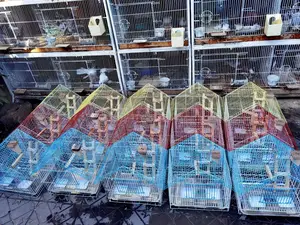 Beautiful Parrots Cage