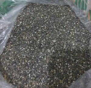 Chia Seed Grow and Harvested in Ethiopia 100% Organic