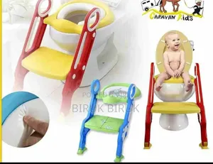 2in1 Potty Training Seat With Ladder