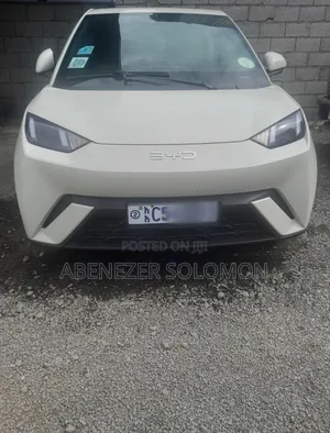 Photo - New BYD Seagull 2024 Ivory