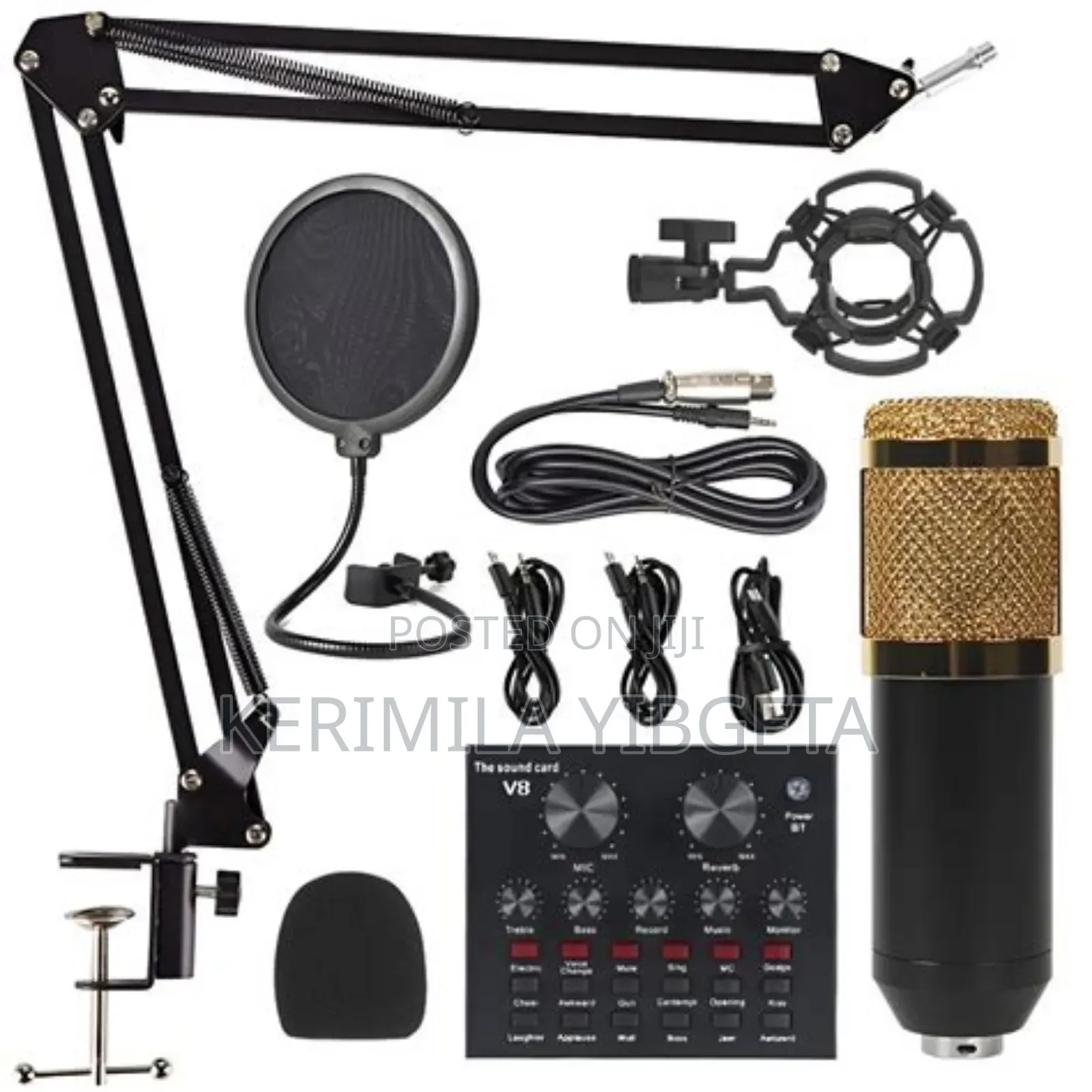Professional Live Mic Condenser Bm800+V8 Metal Body