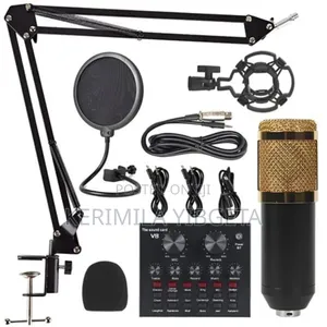 Professional Live Mic Condenser Bm800+V8 Metal Body