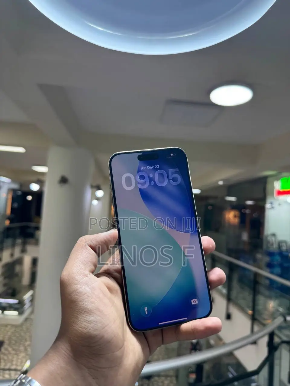 Apple iPhone 15 Pro Max 256 GB Silver