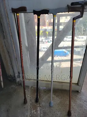 Photo - Walking Stick術巨women/Old Age People蛋後oldman Stick Walking Bysnow Dome