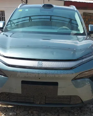 Photo - BYD Tang EV 2025 Blue