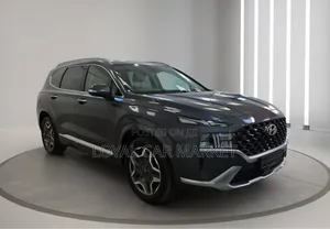 New Hyundai Santa Fe 2024 Gray