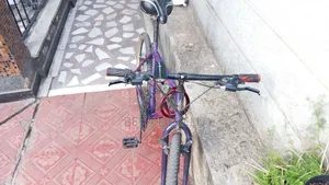 ምርጥ ፍላይንግ ባይክ